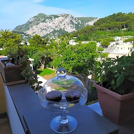 La Casa Di Armando Bed & Breakfast Capri