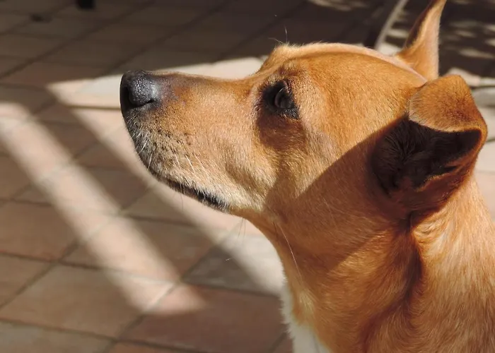 La Casa Di Armando 4*